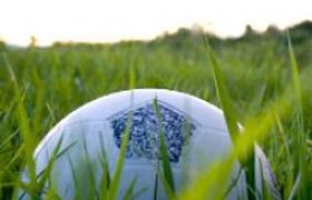 Чемпионат по болотному футболу пройдет в Финляндии