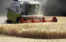 Покупатели пшеницы по всему миру впали в панику