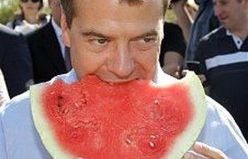 Кредитная ставка для фермеров должна быть не более 10%, заявил Медведев