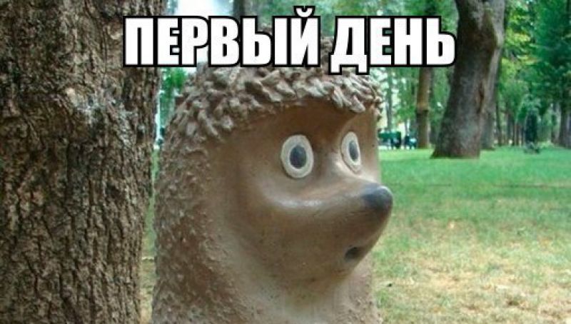 Картинки для, первый рабочий день картинки ежик