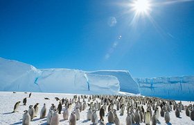 Вакансия дня: системный администратор в  Антарктиду