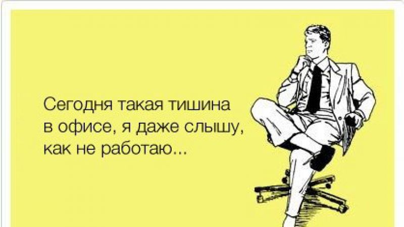 Приколы в картинках про работу в офисе, котик открытки