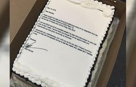 Заявление об увольнении на торте и другие креативные способы уйти из компании