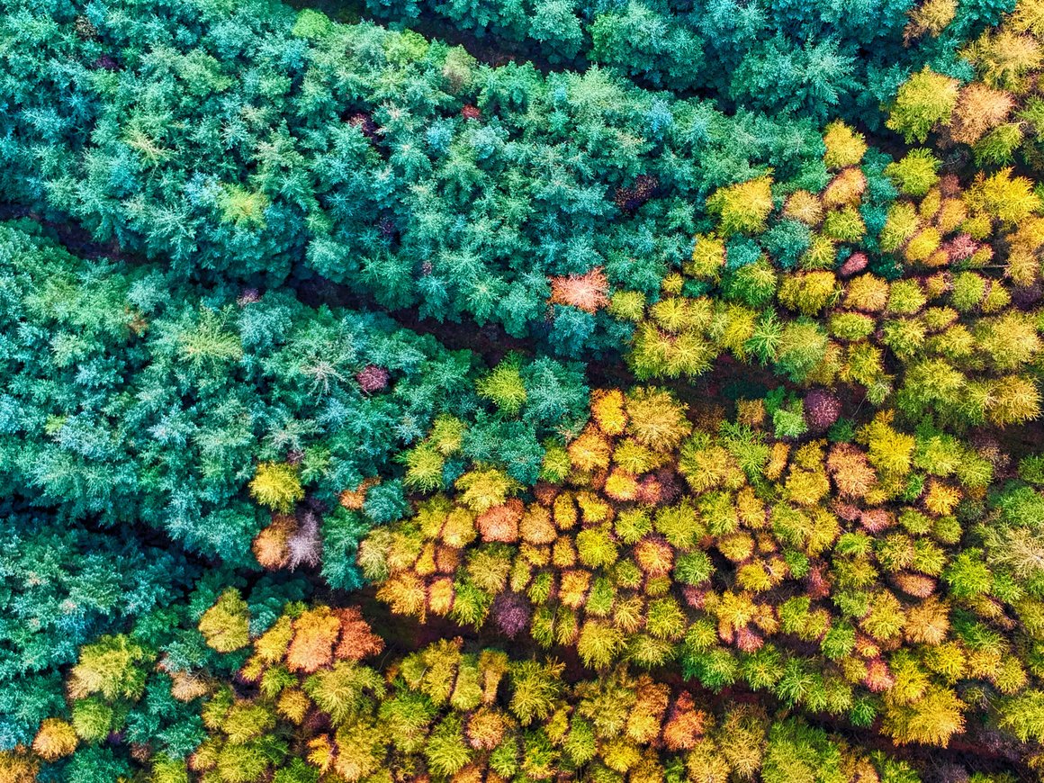 Как адаптировать бизнес к сезонному спаду: семь способов