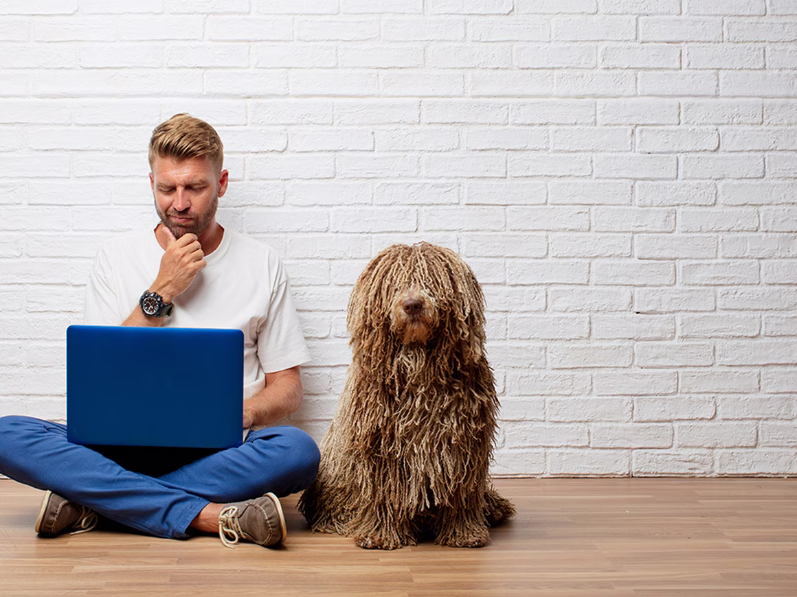 Почему ваша видеореклама не работает? Советы по поиску фрода