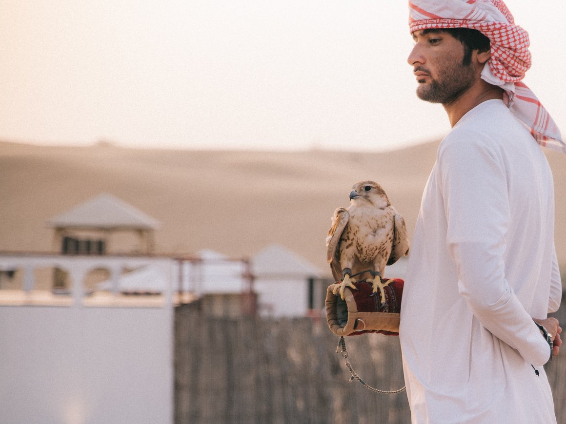 Российские IT-компании стали в два раза чаще интересоваться открытием структур в ОАЭ