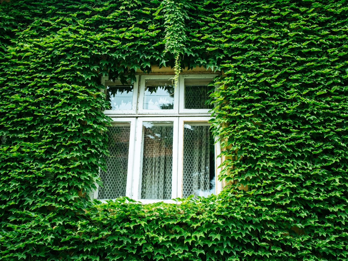 «Сбер» объявил о запуске «Зеленой ипотеки»