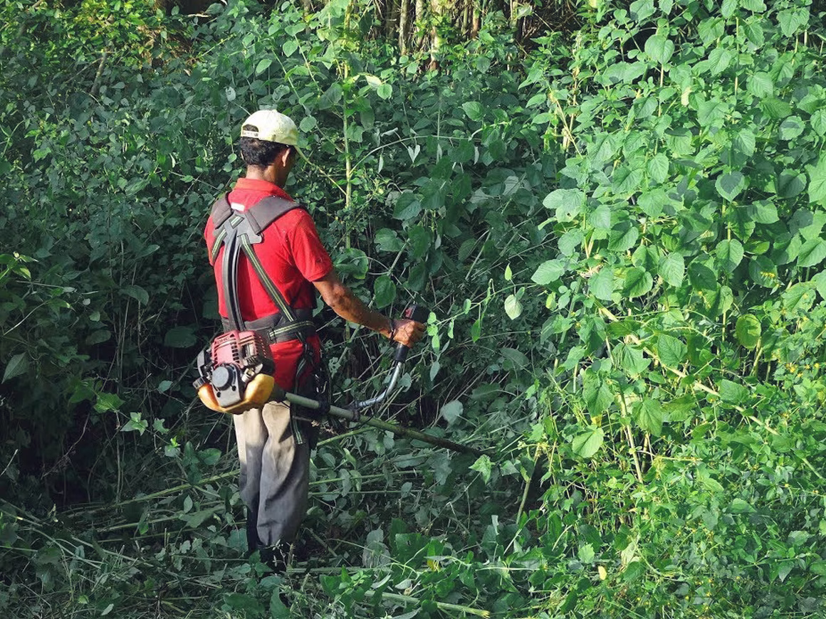 Сервис «Работа.ру» назвал редкие и необычные вакансии июля