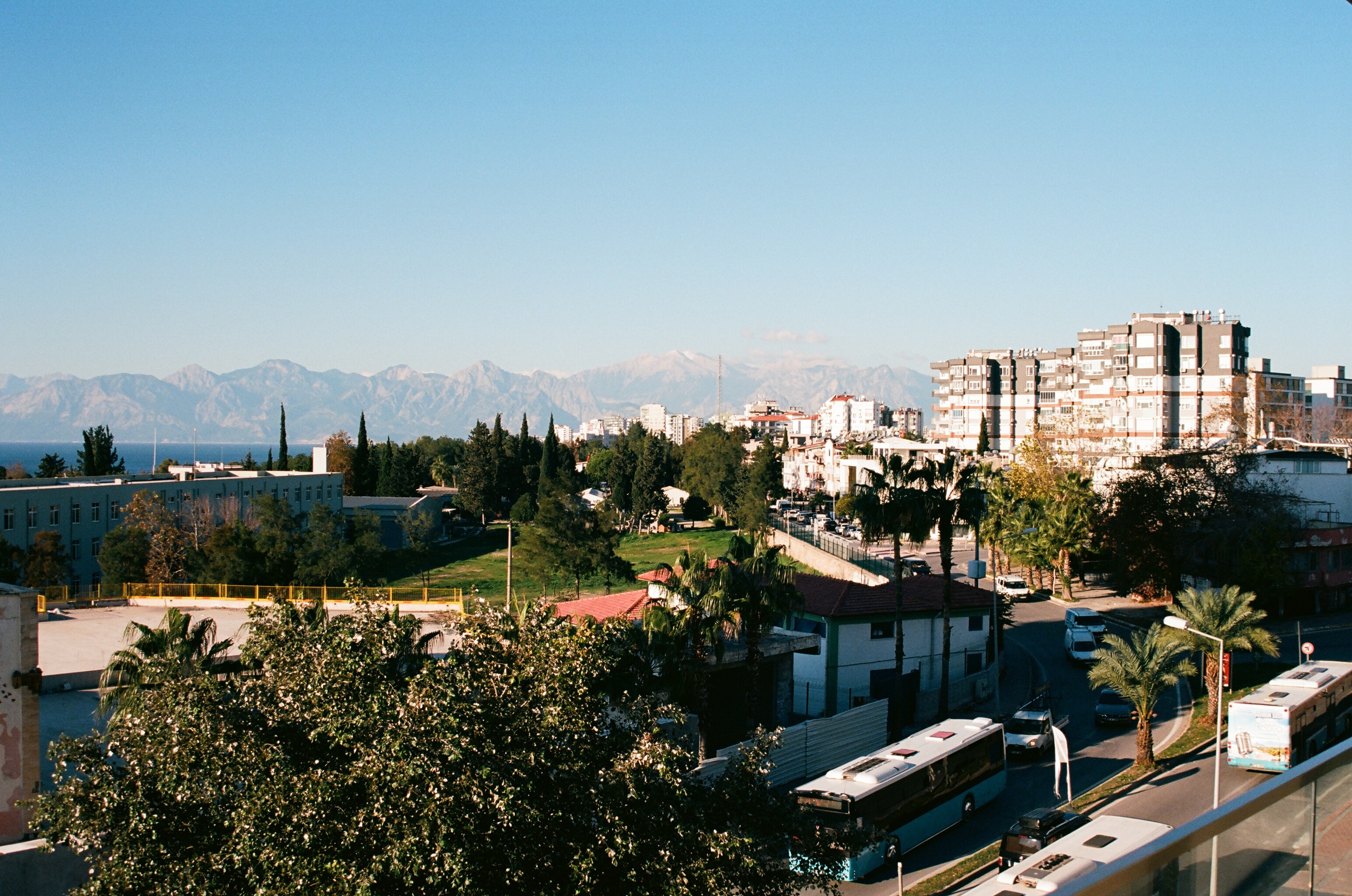 Россияне стали лидерами по созданию компаний в Анталье в 2023 году