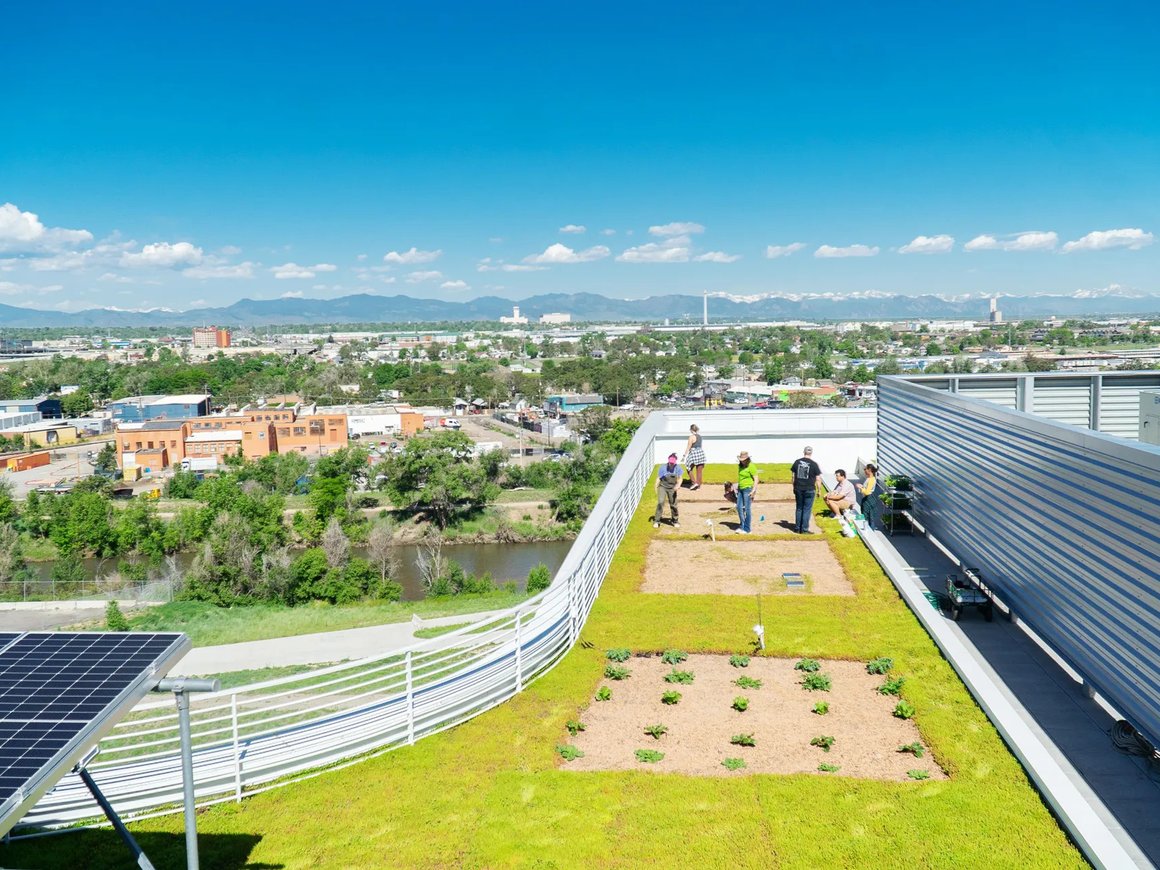 Самая эффективная ферма будущего находится в небе