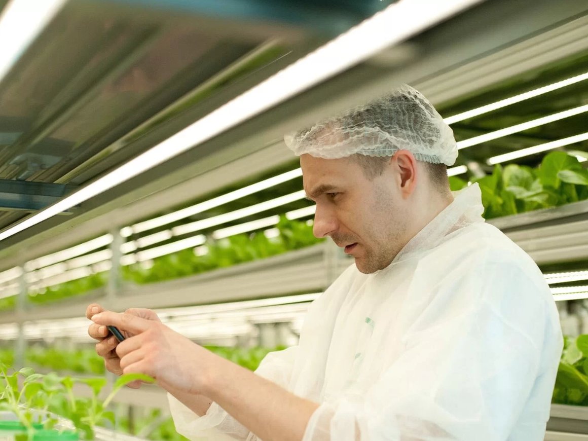 Агротех-стартап iFarm начал использовать телеграм-бота для определения здоровья растений