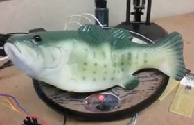 Виртуального помощника Alexa вселили в поющую резиновую рыбу