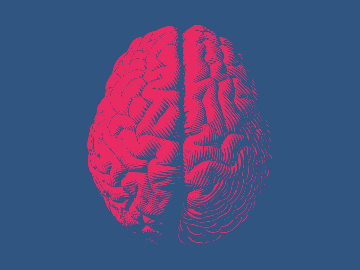 10 правил, которые дадут мозгу стимул к работе