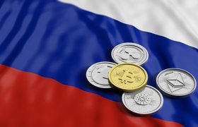 Не более 50 тыс. рублей: сумму вложений в криптовалюту для группы инвесторов предложили ограничить