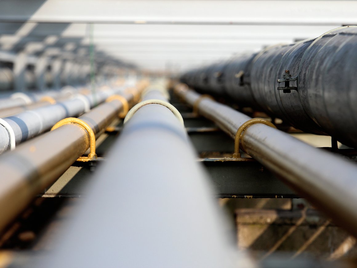 Российский стартап Biometriclabs привлек $500 тыс. от бизнес-ангела Алексея Матвейчука