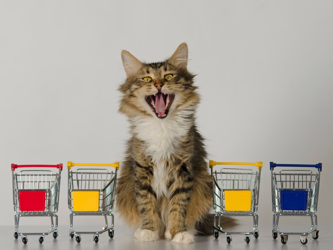 Как открыть продуктовый магазин: пошаговая инструкция