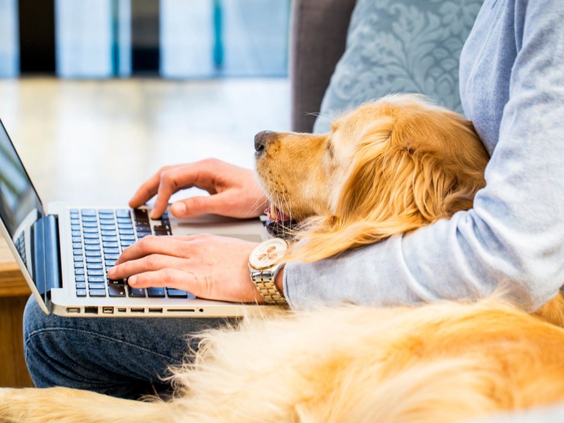 Россияне не готовы менять образ жизни из-за коронавируса — опрос