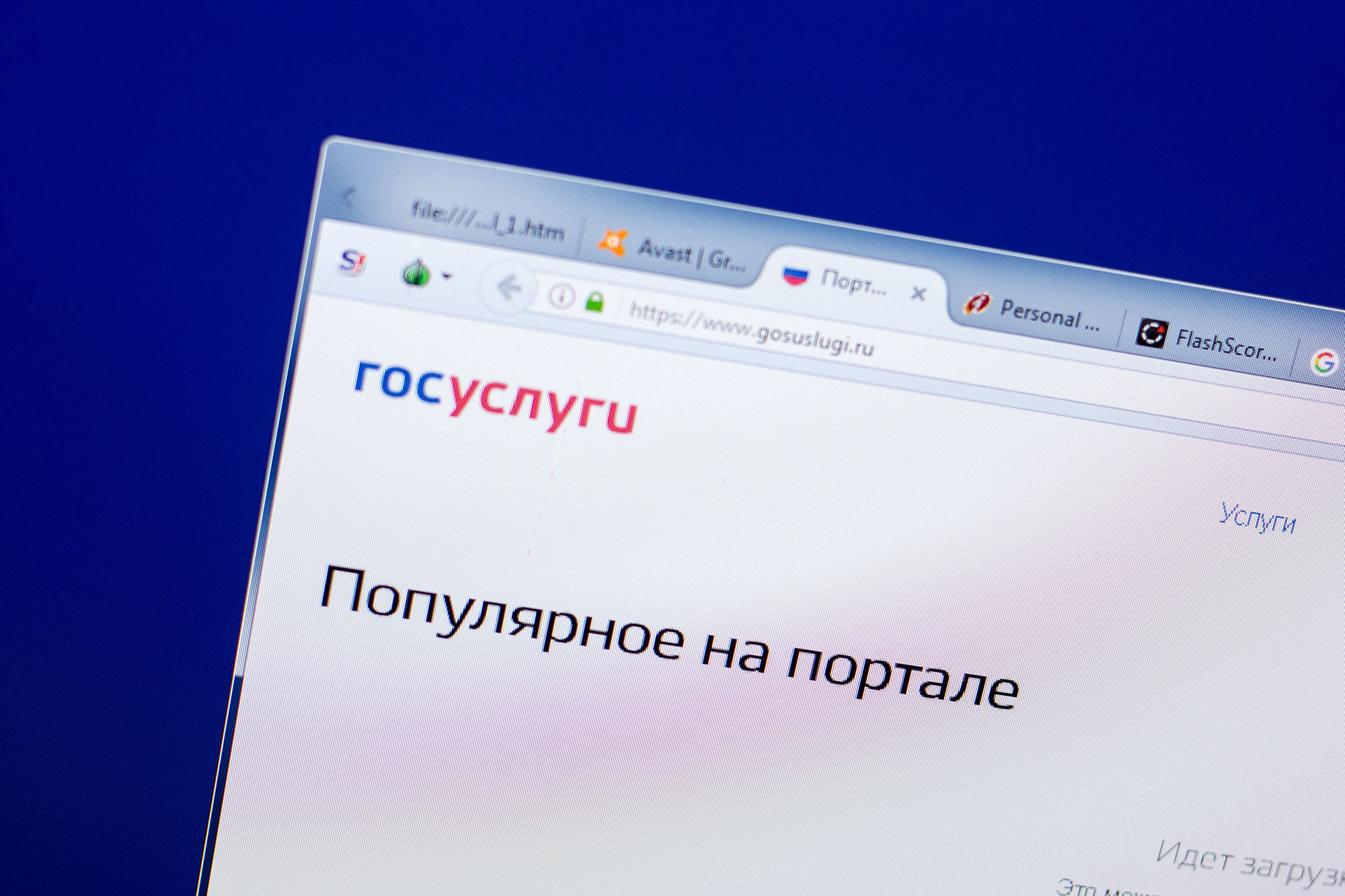 4,94 ₽ за каждый запрос в госреестр: бизнес не понял идею Минцифры