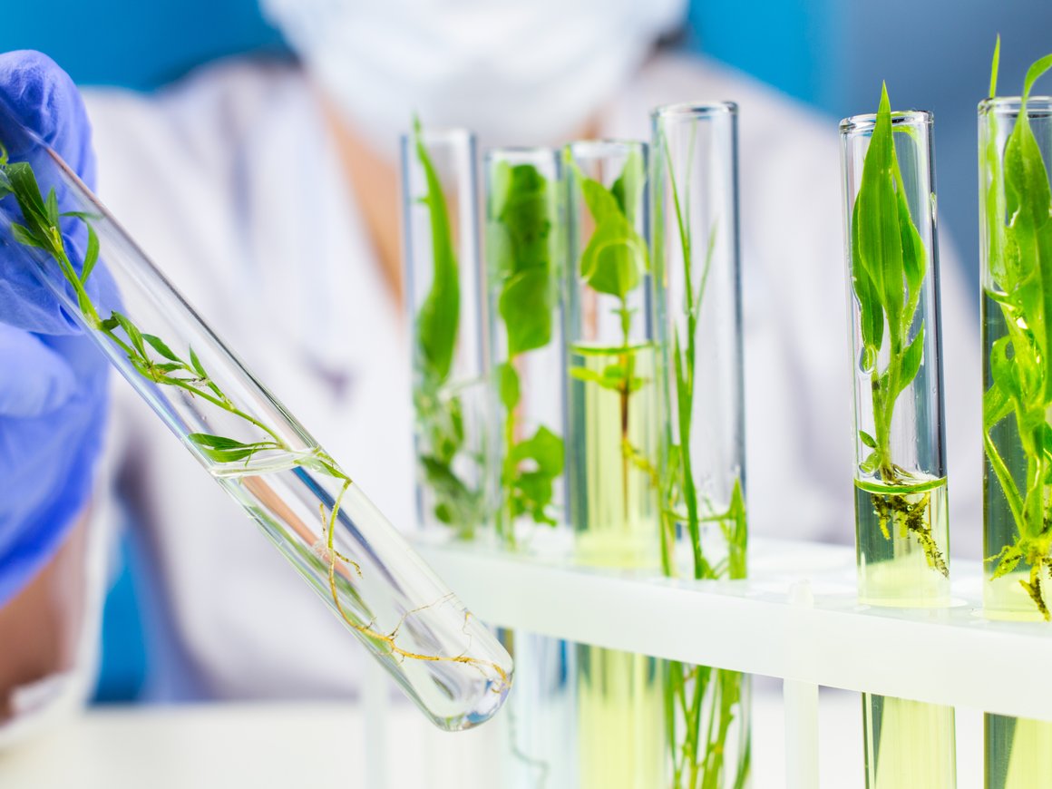 «Татнефть» и Pulsar Venture Capital запустили акселератор для химических и биотех-стартапов