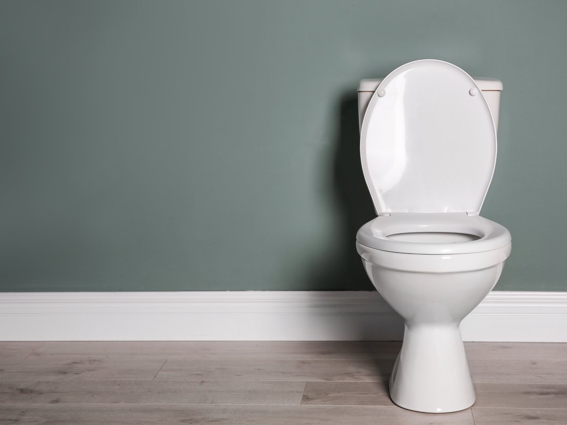 Евросоюз может запретить поставки в Россию унитазов, биде и смывных бачков