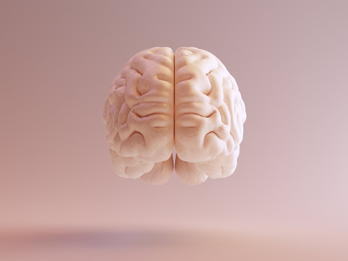 Исследователи разработали новый нейроинтерфейс: он состоит из десятков чипов и крепится к мозгу