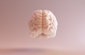 Исследователи разработали новый нейроинтерфейс: он состоит из десятков чипов и крепится к мозгу