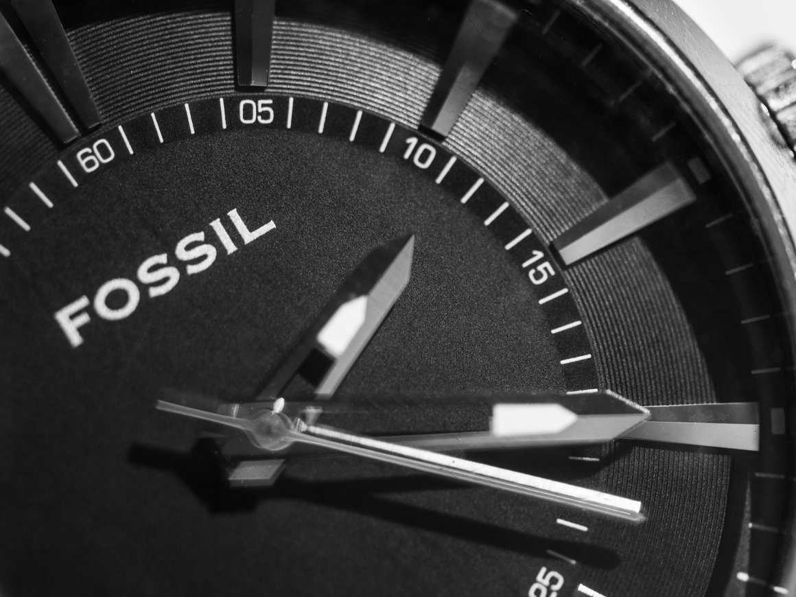 Кожа из кактусов и часы на солнечной батарее: курс на экологичность от fashion-брендов