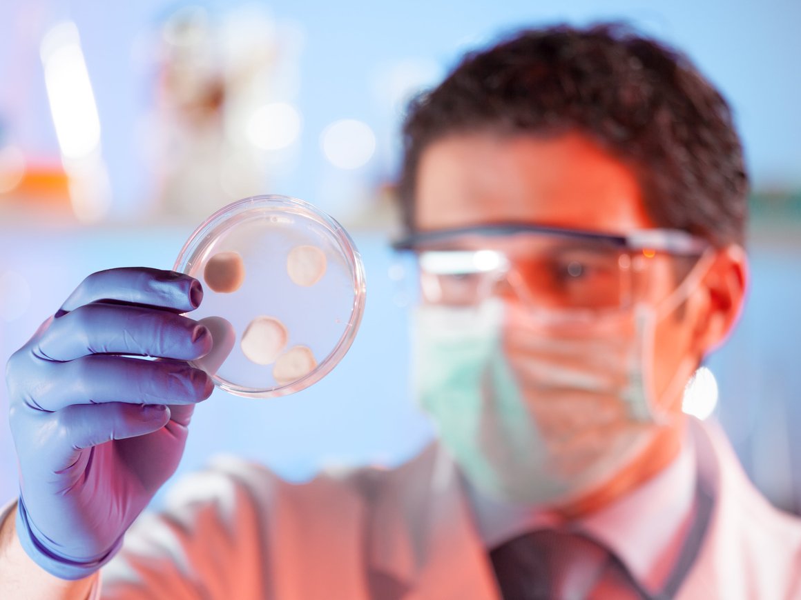 Ученые разработали «живых роботов», которые способны к самовоспроизведению