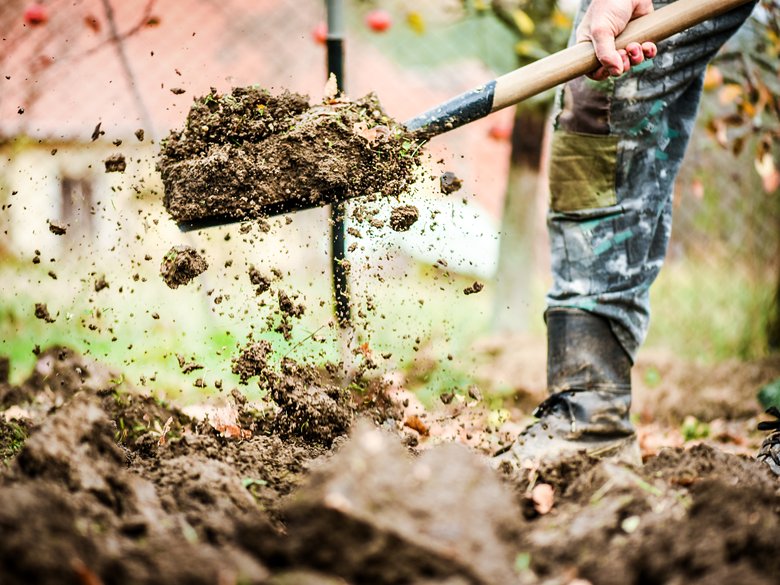 О руководителях и лопате: можно ли быть по-настоящему эффективным менеджером, не разбираясь в предмете