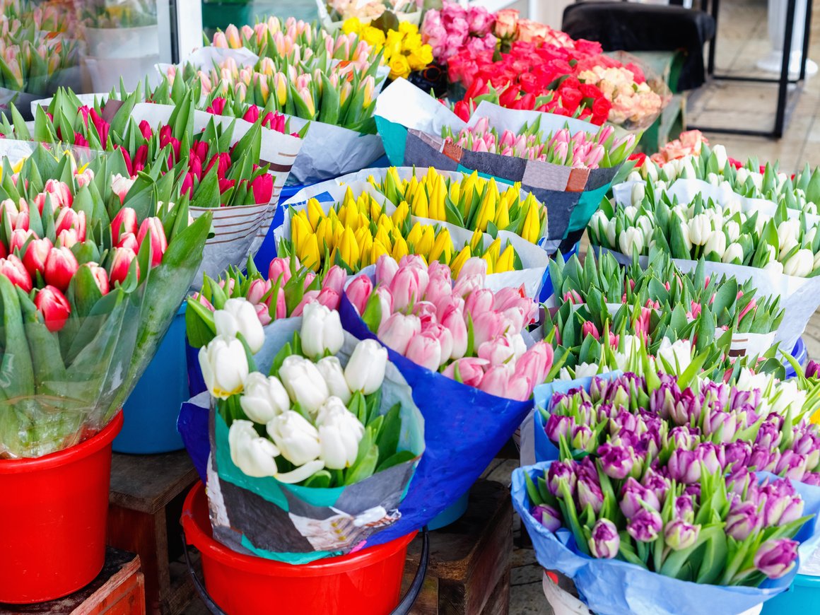 Цены на тюльпаны и розы в России выросли на 25% за 2024 год