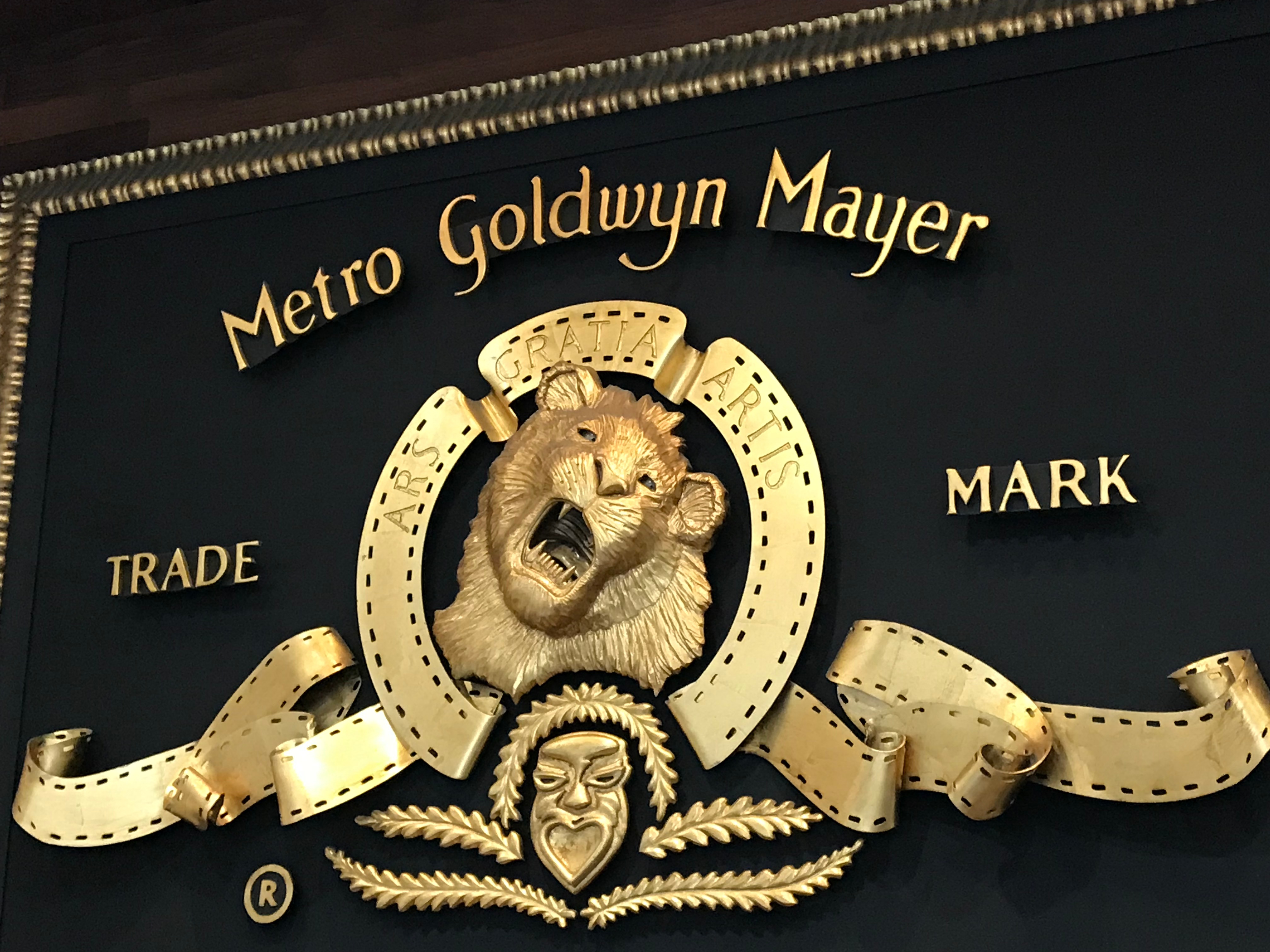 Metro goldwyn. Киностудия Metro-Goldwyn-Mayer. Метро Голден Майер логотип. Metro Goldwyn Mayer заставка. MGM Amazon.