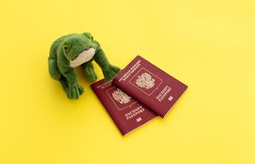 Как нейросеть распознаёт страницы паспорта и находит подделки