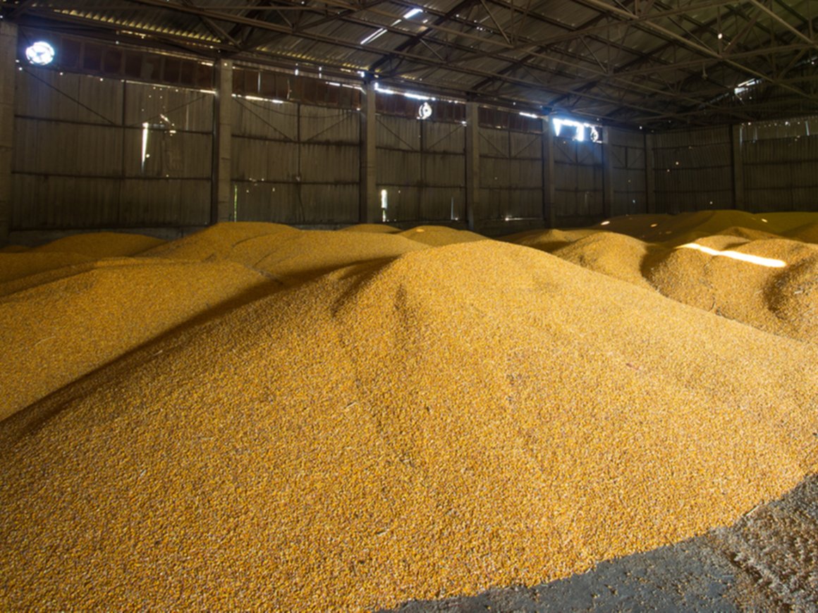 Россия ввела временное эмбарго на экспорт зерна и сахара в страны ЕАЭС