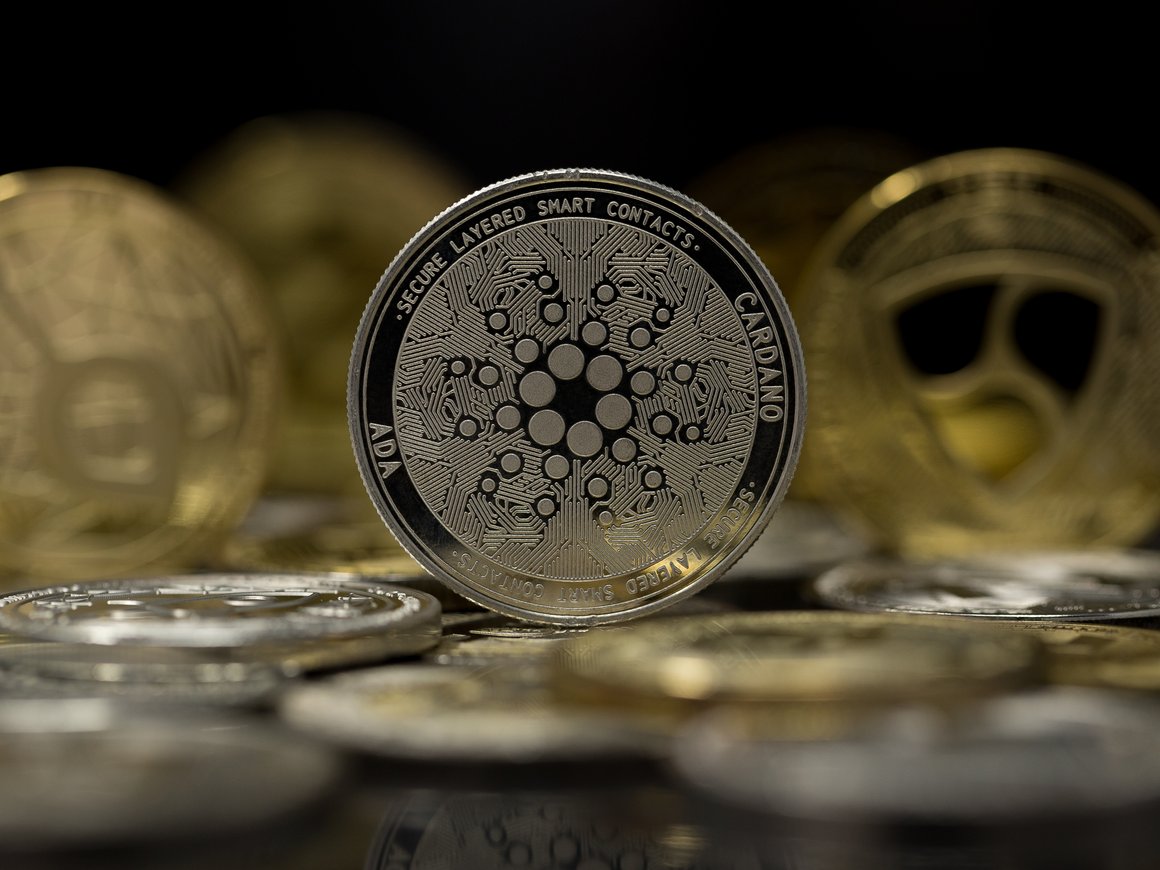 Что такое Cardano и почему ее называют альтернативой Ethereum