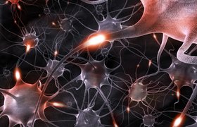 Как устроены нейронные сети?