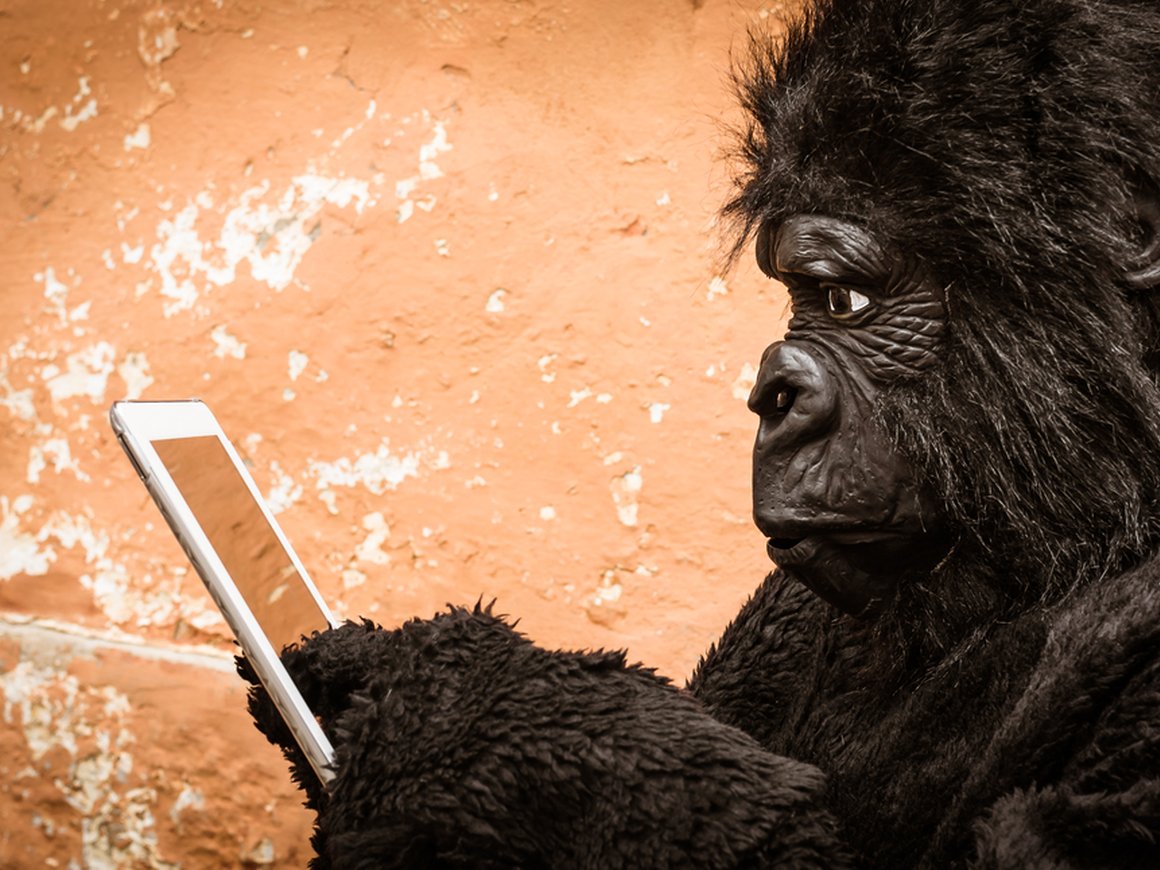 Играет в видеоигры «силой мысли»: стартап Илона Маска Neuralink вживил чип обезьяне