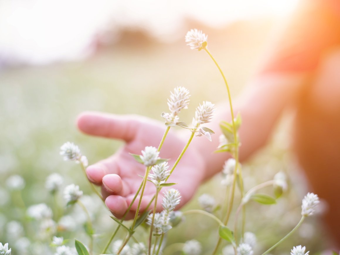 Менять правила и экспериментировать: как провести ребрендинг экологического проекта