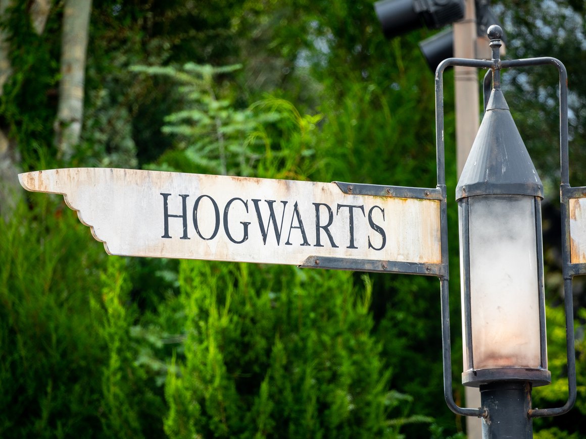 «Авито работа» рассчитала, какую зарплату герои «Гарри Поттера» получали бы в России