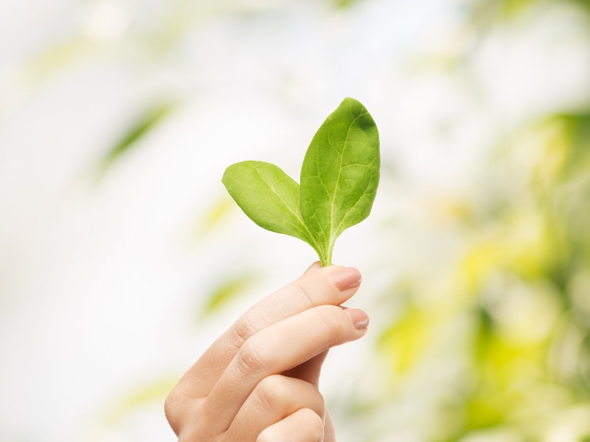 ESG-итоги: как повестка устойчивого развития повлияла на российский рынок в 2021 году