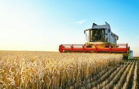5 советов, как AgroTech-стартапам завоевать доверие российских аграриев