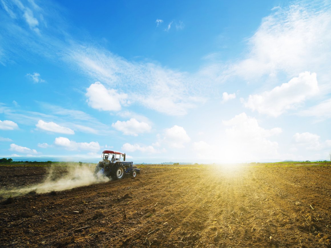 Калифорнийские спутники помогут российскому агротеху следить за урожаем