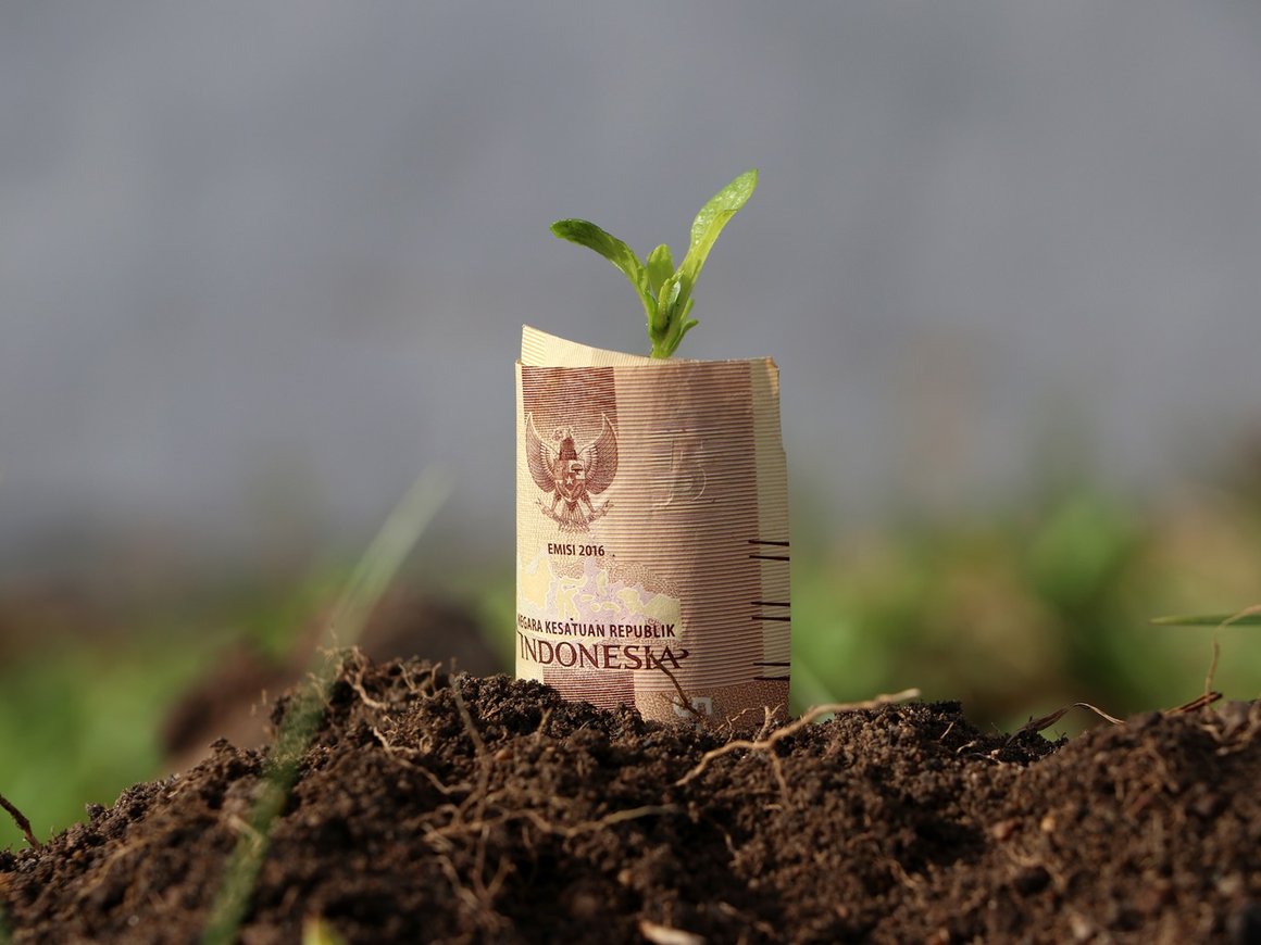 Как будут развиваться отношения России и Индонезии в ближайшее время и что это принесет российским инвесторам