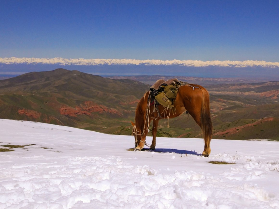 Киргизия предложила российским айтишникам стать «цифровыми кочевниками»