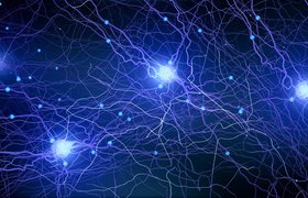 Медицина, банкинг и метрополитен: где нейросети уже помогают человеку