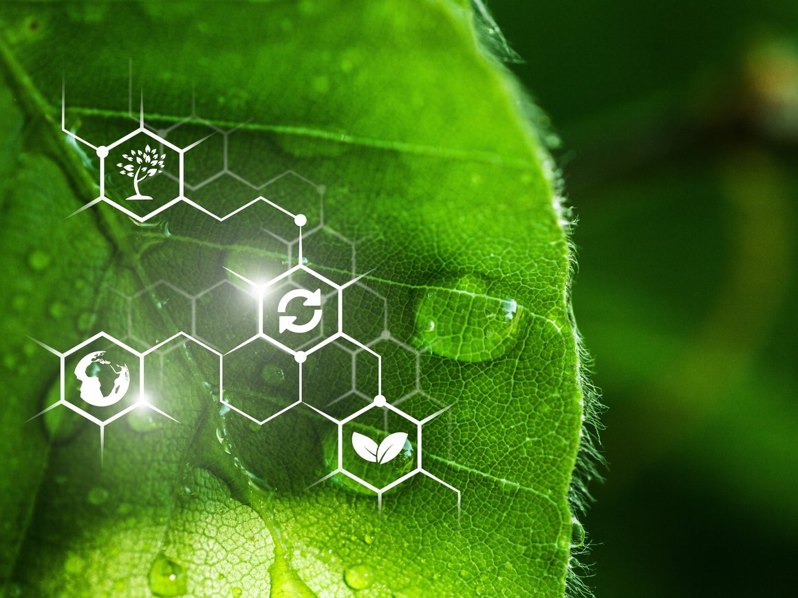 Стали известны победители премии «AgroCode Toп-100 2023»