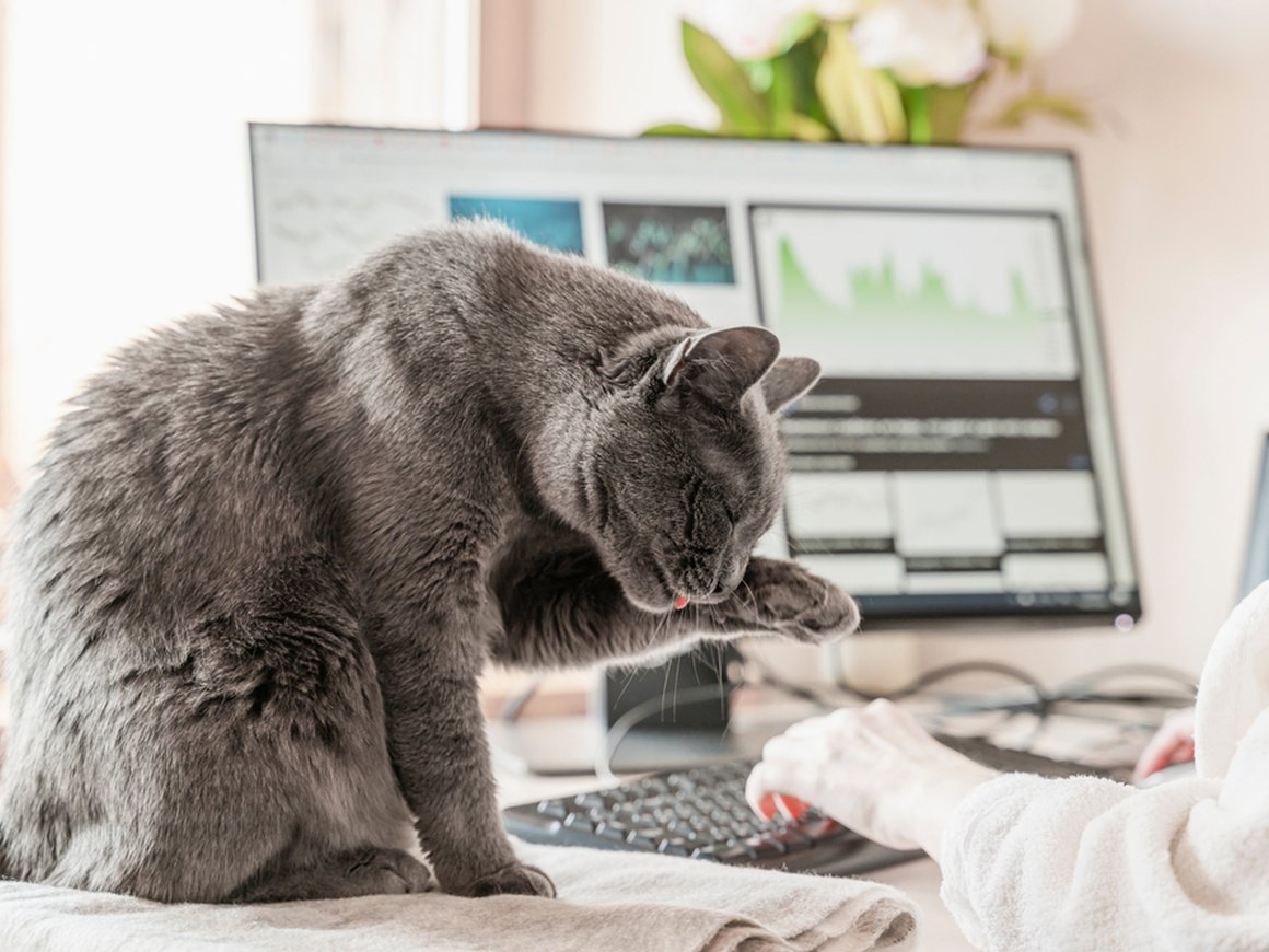 Headhunter составил подборку вакансий на удаленке с зарплатой до 500 тысяч рублей