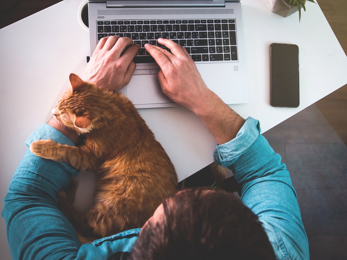 Россиян на удаленке отвлекают от работы домашние дела и холодильник — опрос