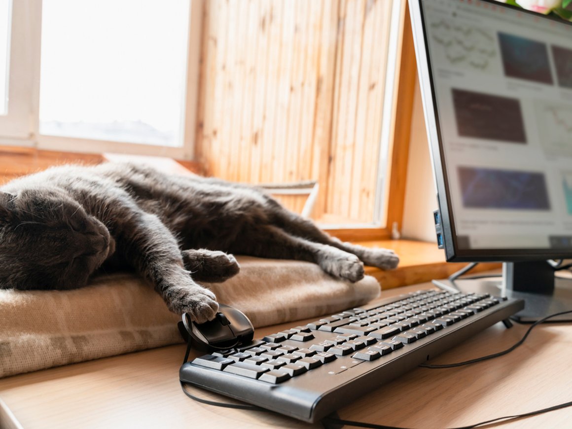 Slack выяснил, что сотрудники ценят в удаленной работе и чего им не хватает