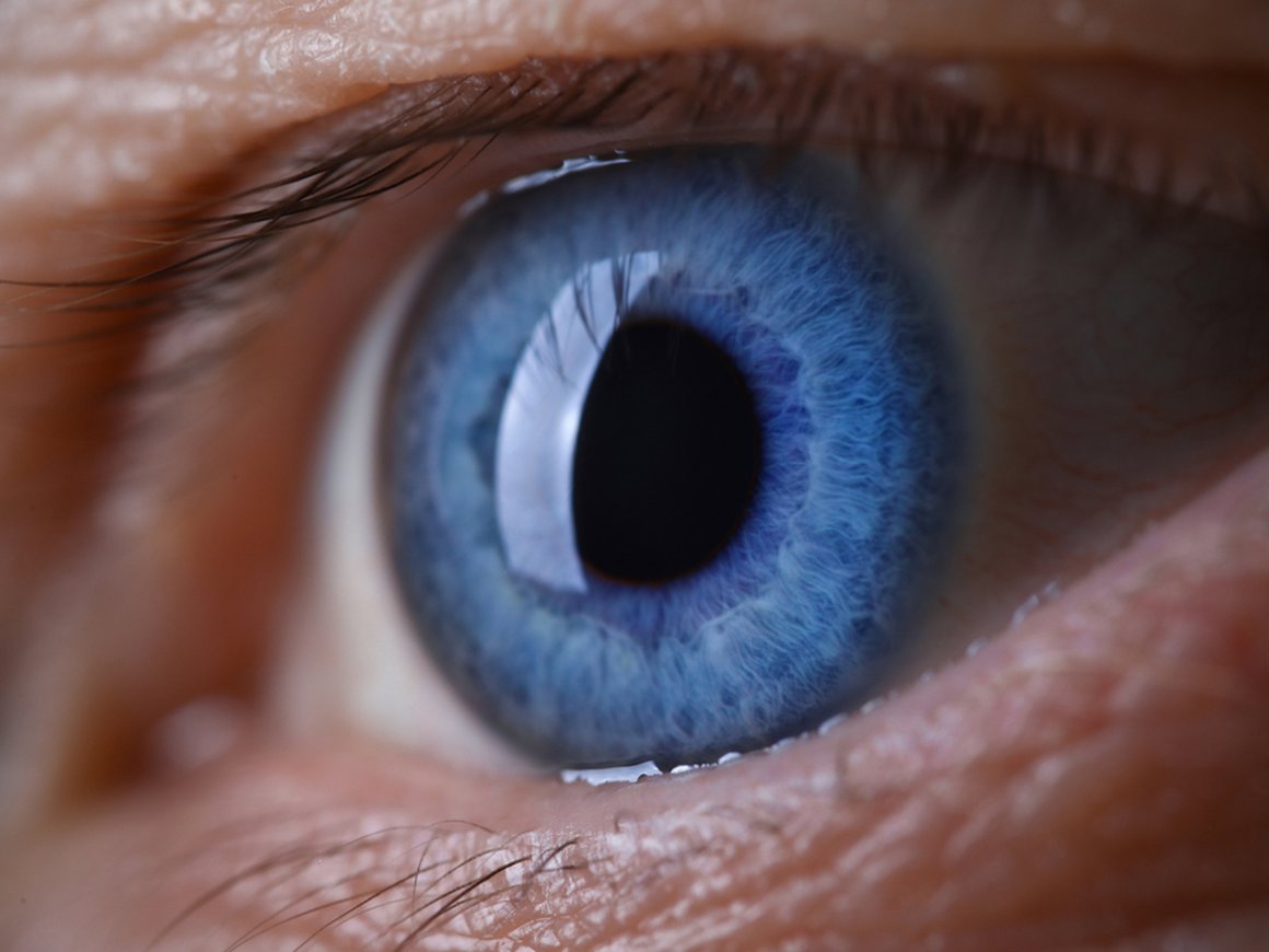 Ученые-генетики восстановили зрение полностью ослепшему человеку