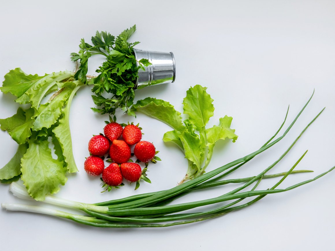 iFarm привлек $4 млн инвестиций на масштабирование